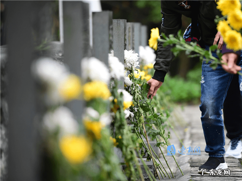 宿迁公墓设计尺寸 宿迁市公墓价格一览表