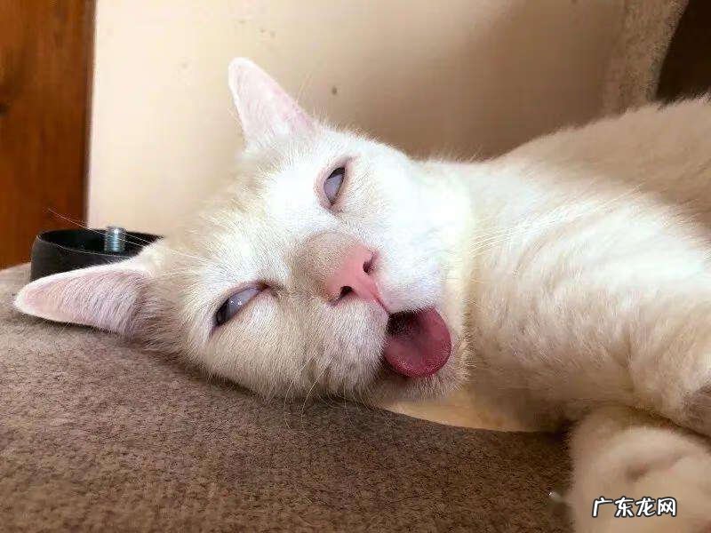 枕头高低有什么影响 枕头枕高的坏处