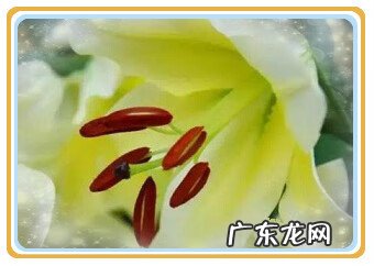 金旺什么意思 金旺克木有什么风水