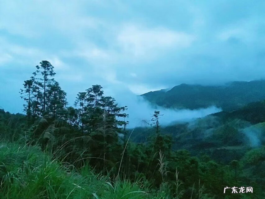 看风水一般多少钱 做一个风水需要多少钱