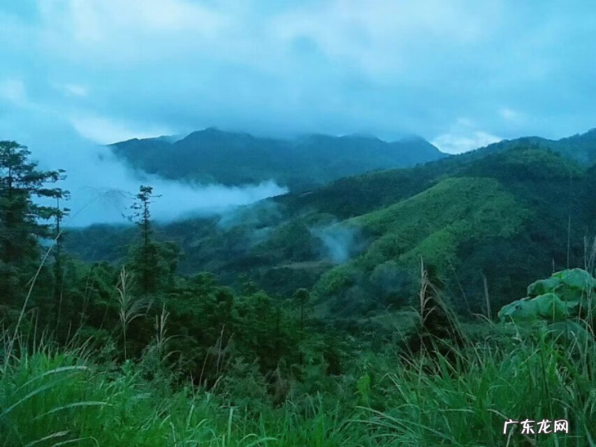 看风水一般多少钱 做一个风水需要多少钱