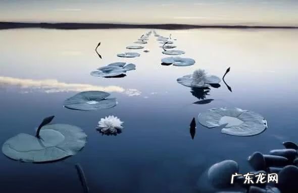 好风水句子 风水吉祥话语