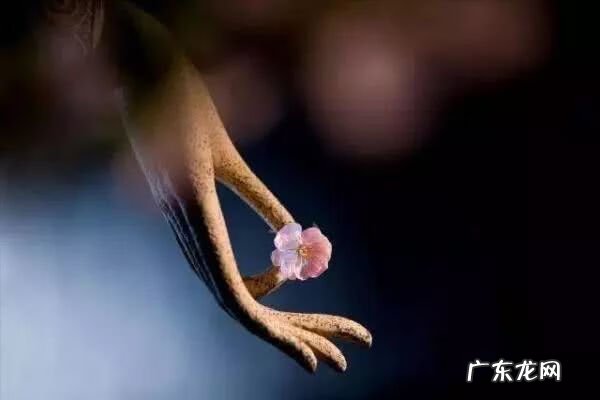 好风水句子 风水吉祥话语