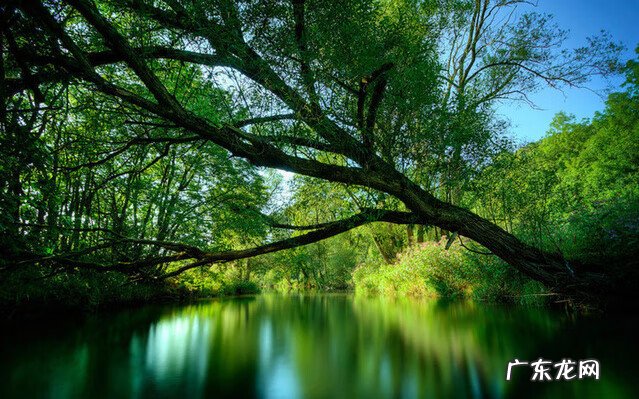 大运有什么用 风水大运什么意思