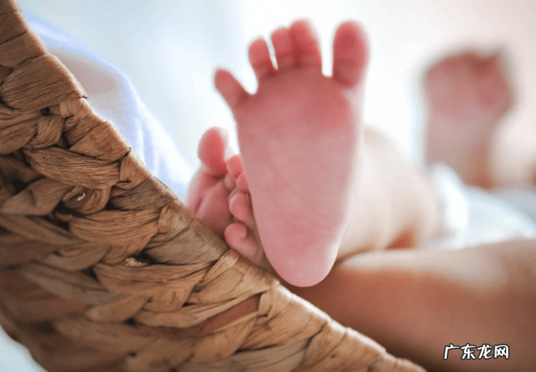 父属虎子属虎好不好 父子属相都是虎