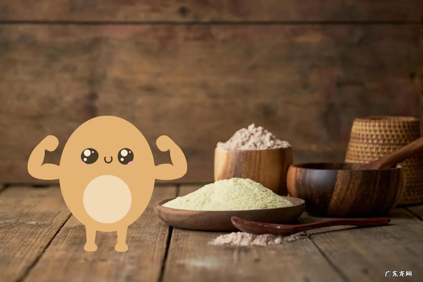 蛋白质粉的正确服用方法 蛋白质粉的作用和功效