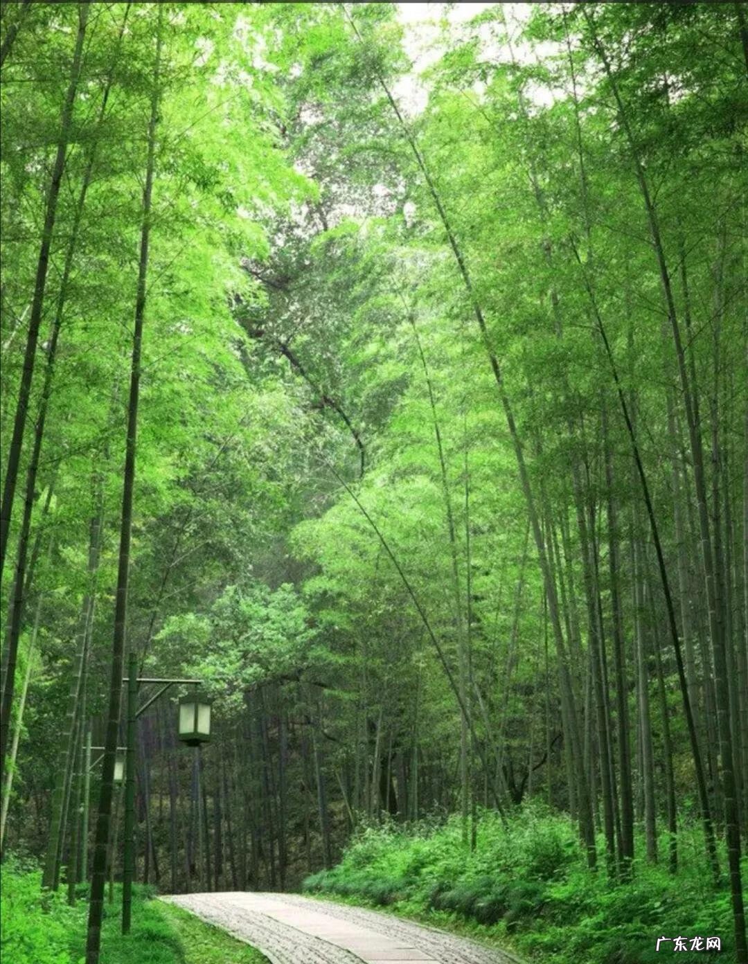 扇形风水代表什么 扇形 风水