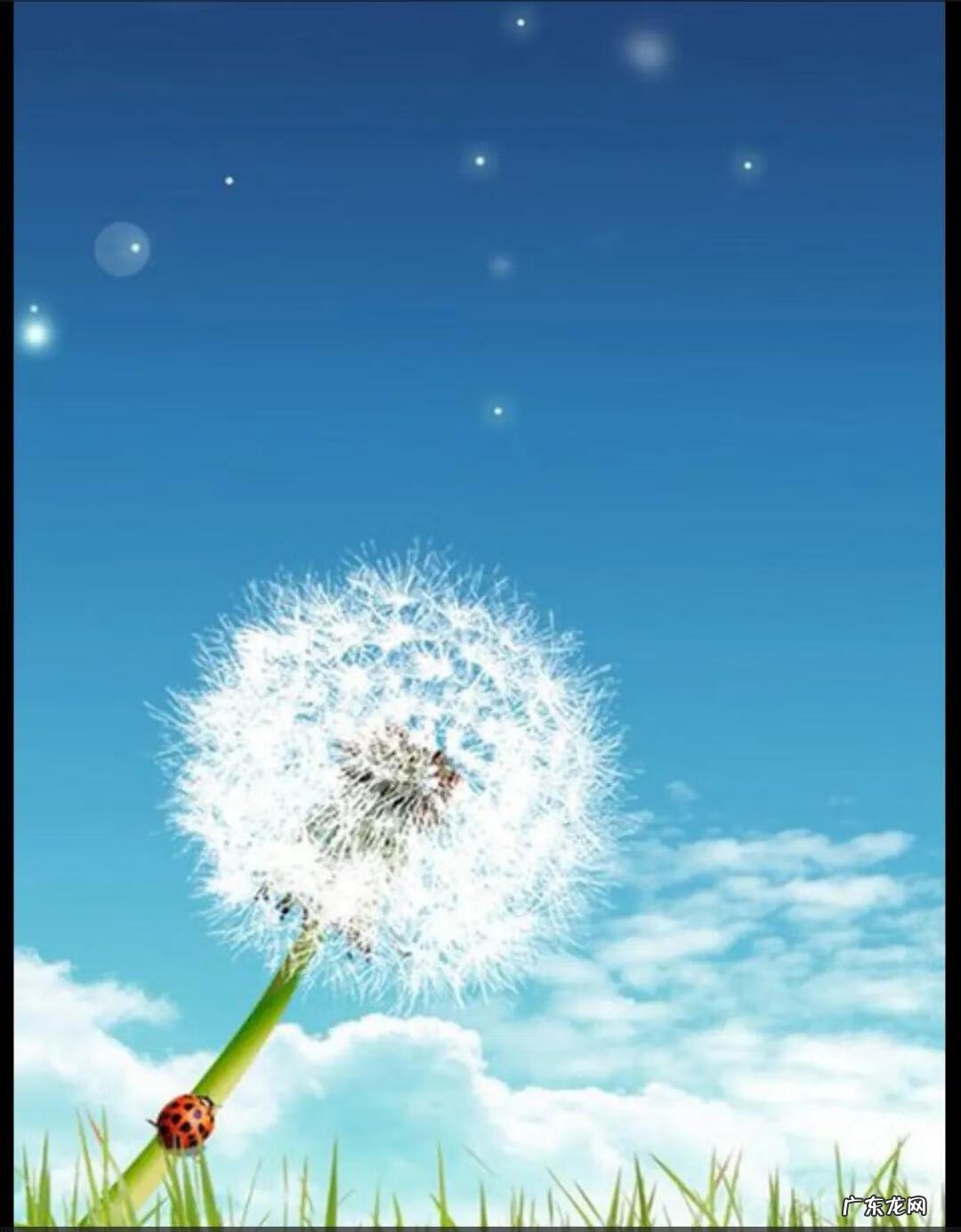 扇形风水代表什么 扇形 风水