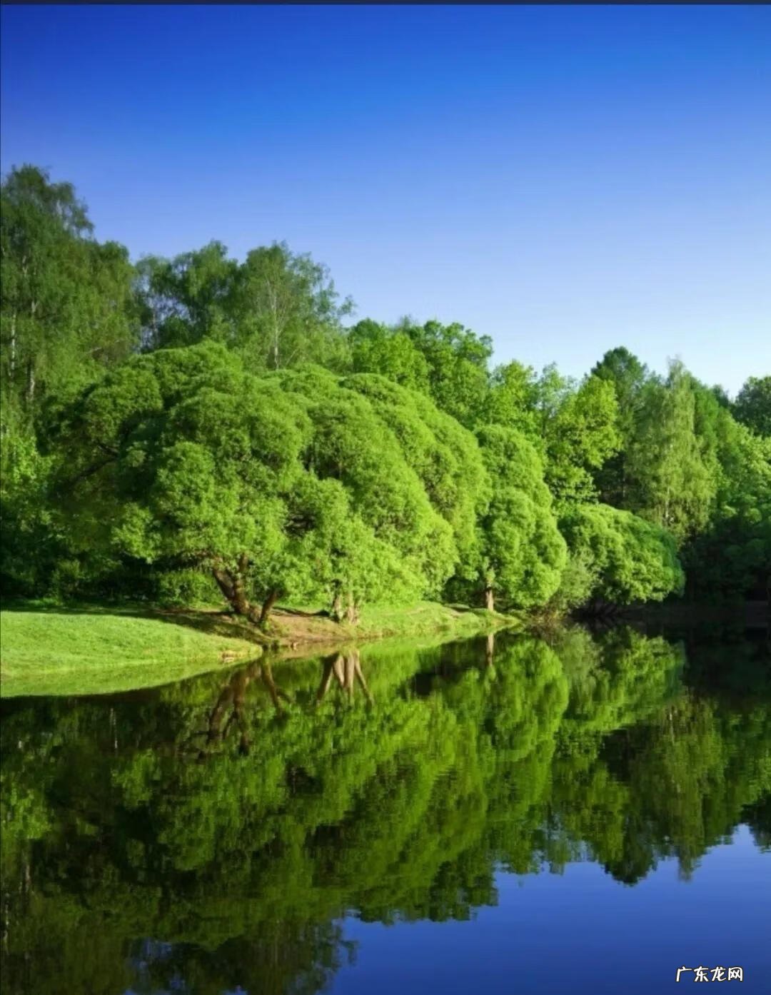 扇形风水代表什么 扇形 风水