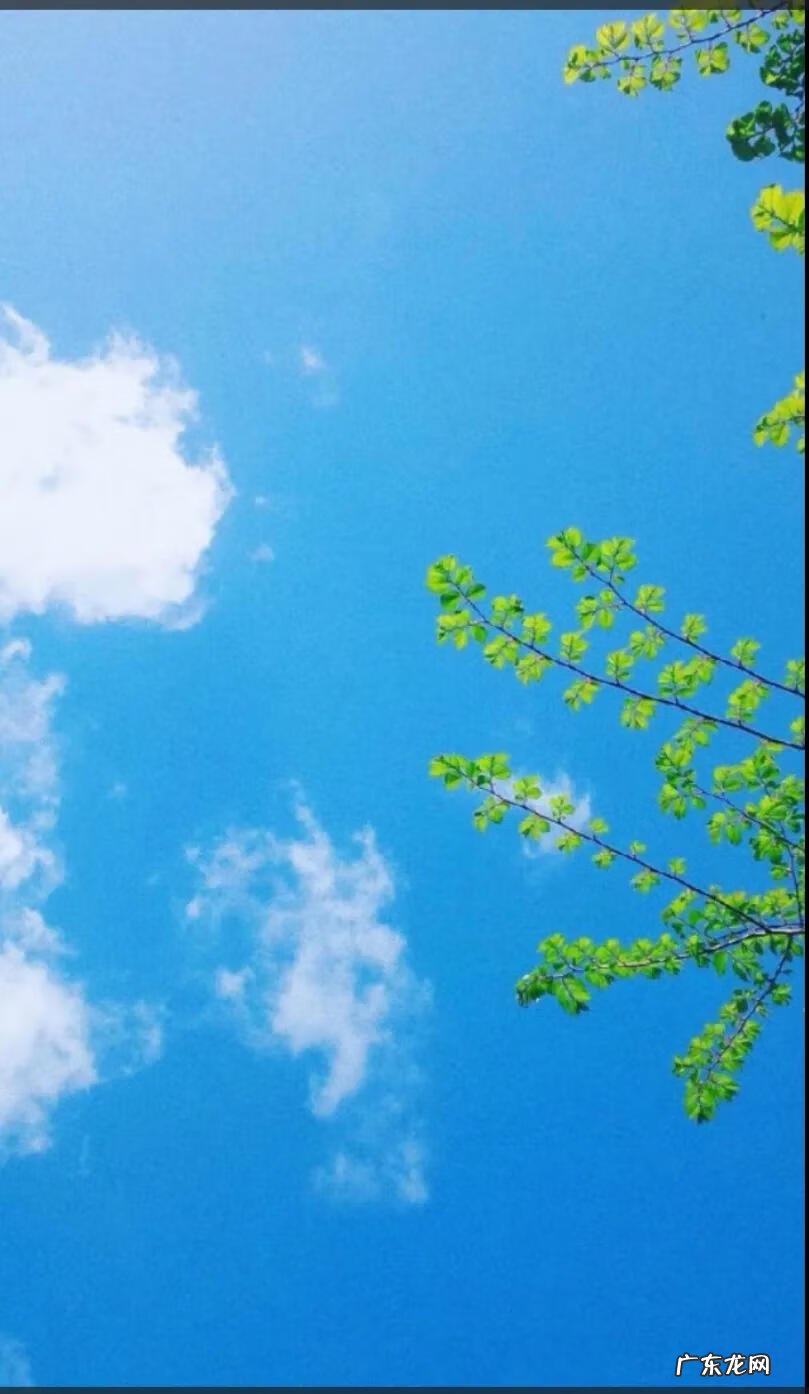 扇形风水代表什么 扇形 风水