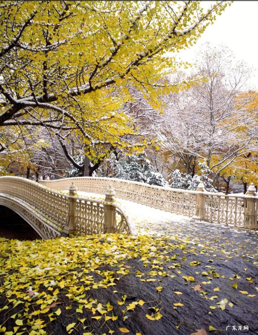 扇形风水代表什么 扇形 风水