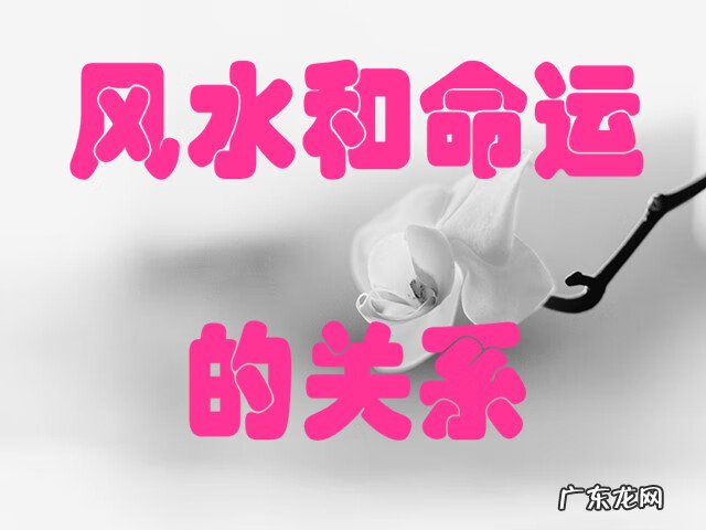 如何马上增加运气 风水真能影响运势吗