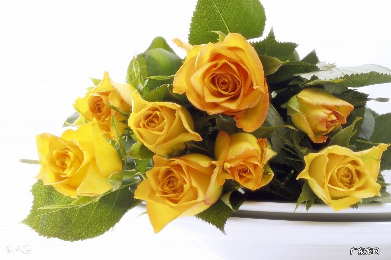 婚姻风水找一个好姻缘 看风水旺姻缘的方法有哪些?