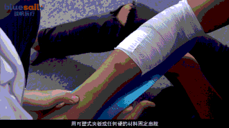 风水蛇地金蛇出洞 风水老蛇出洞