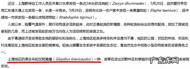 风水蛇地金蛇出洞 风水老蛇出洞