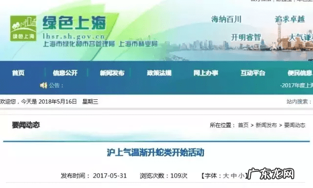 风水蛇地金蛇出洞 风水老蛇出洞