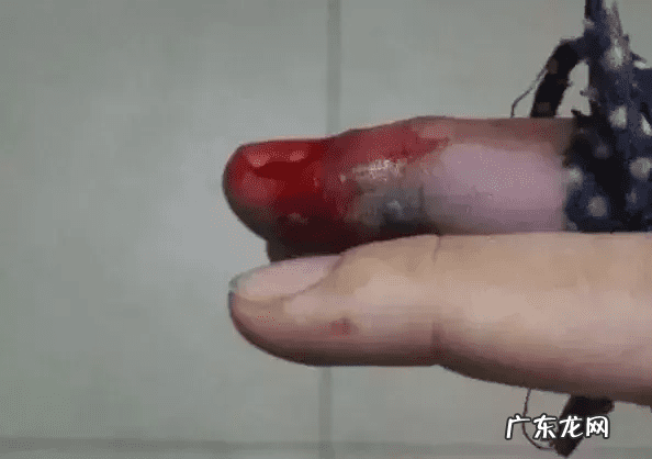 风水蛇地金蛇出洞 风水老蛇出洞