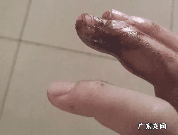 风水蛇地金蛇出洞 风水老蛇出洞