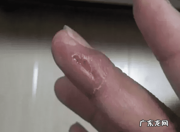 风水蛇地金蛇出洞 风水老蛇出洞