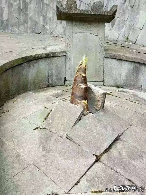 骨灰撒大海风水上有什么说法 骨灰撒在哪里风水比较好