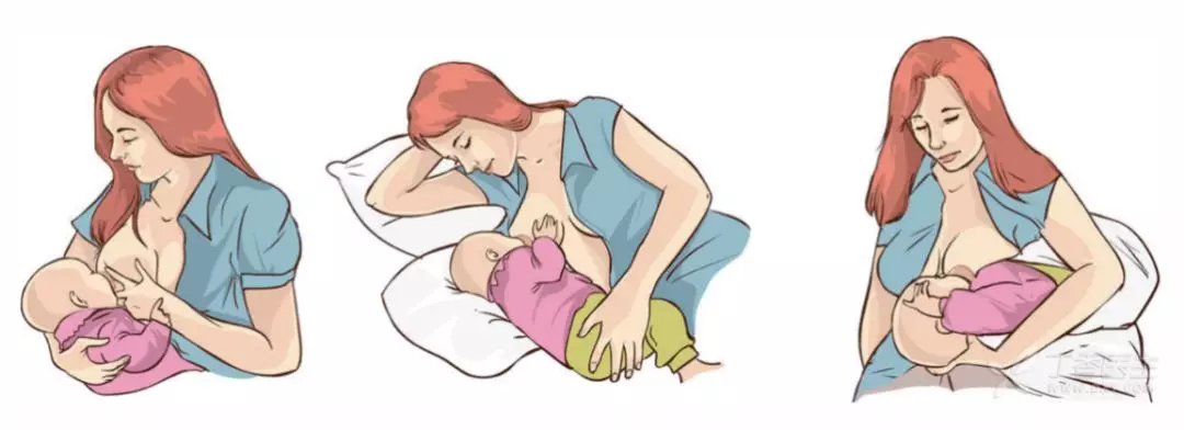 开奶怎么开的 开奶是怎么开奶的