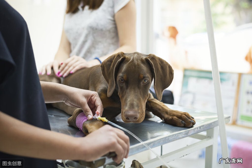 肠子翻出来 翻肠子是什么意思