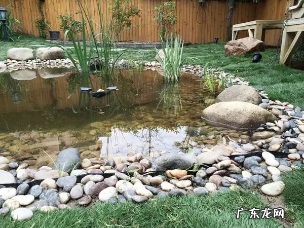 风水池塘的形状图片 人造水塘风水图解