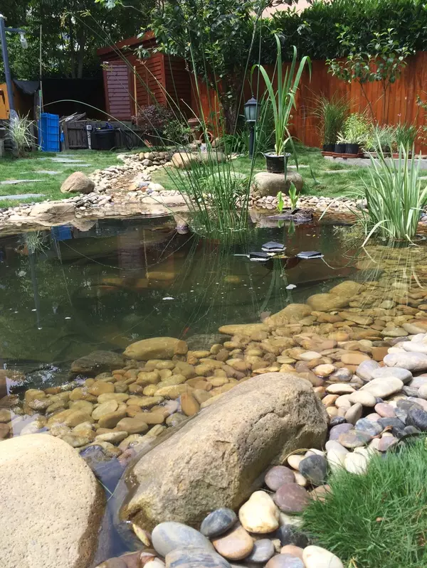 风水池塘的形状图片 人造水塘风水图解