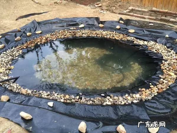 风水池塘的形状图片 人造水塘风水图解