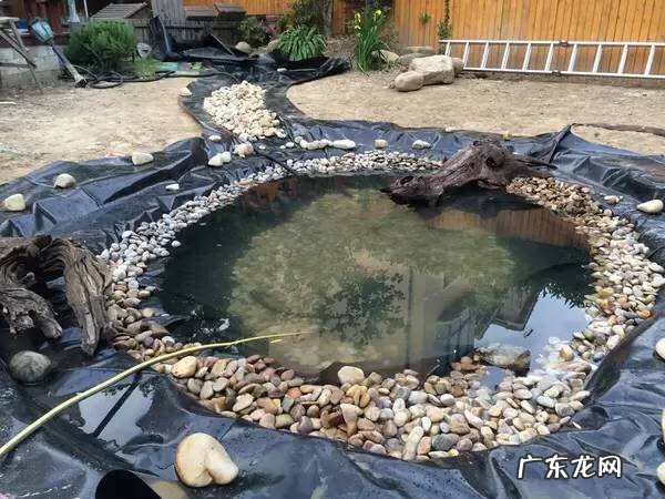 风水池塘的形状图片 人造水塘风水图解