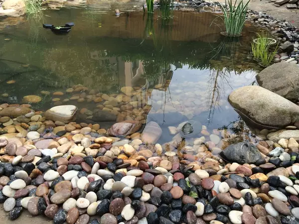 风水池塘的形状图片 人造水塘风水图解