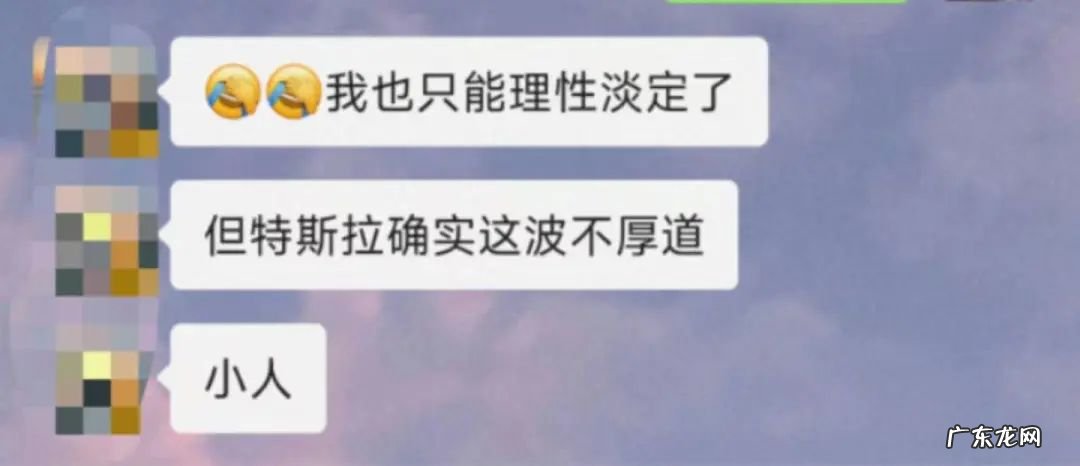 “特斯拉,大坏蛋”|车主派