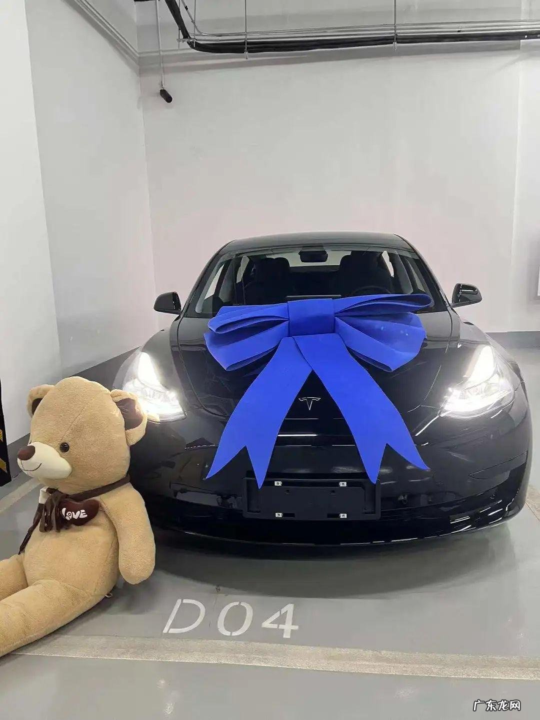 “特斯拉,大坏蛋”|车主派