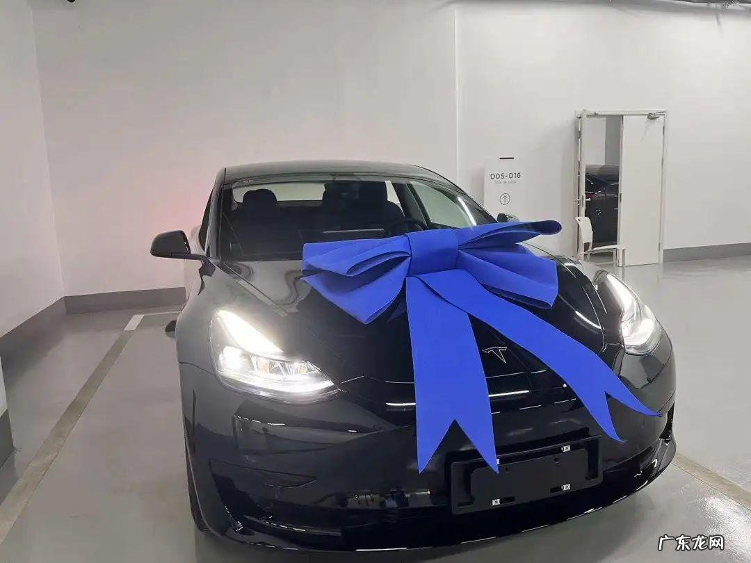 “特斯拉,大坏蛋”|车主派