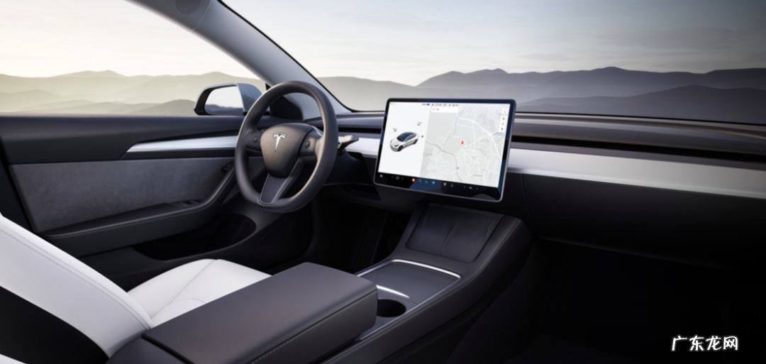 “特斯拉,大坏蛋”|车主派