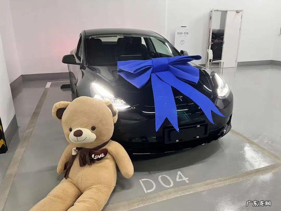 “特斯拉,大坏蛋”|车主派