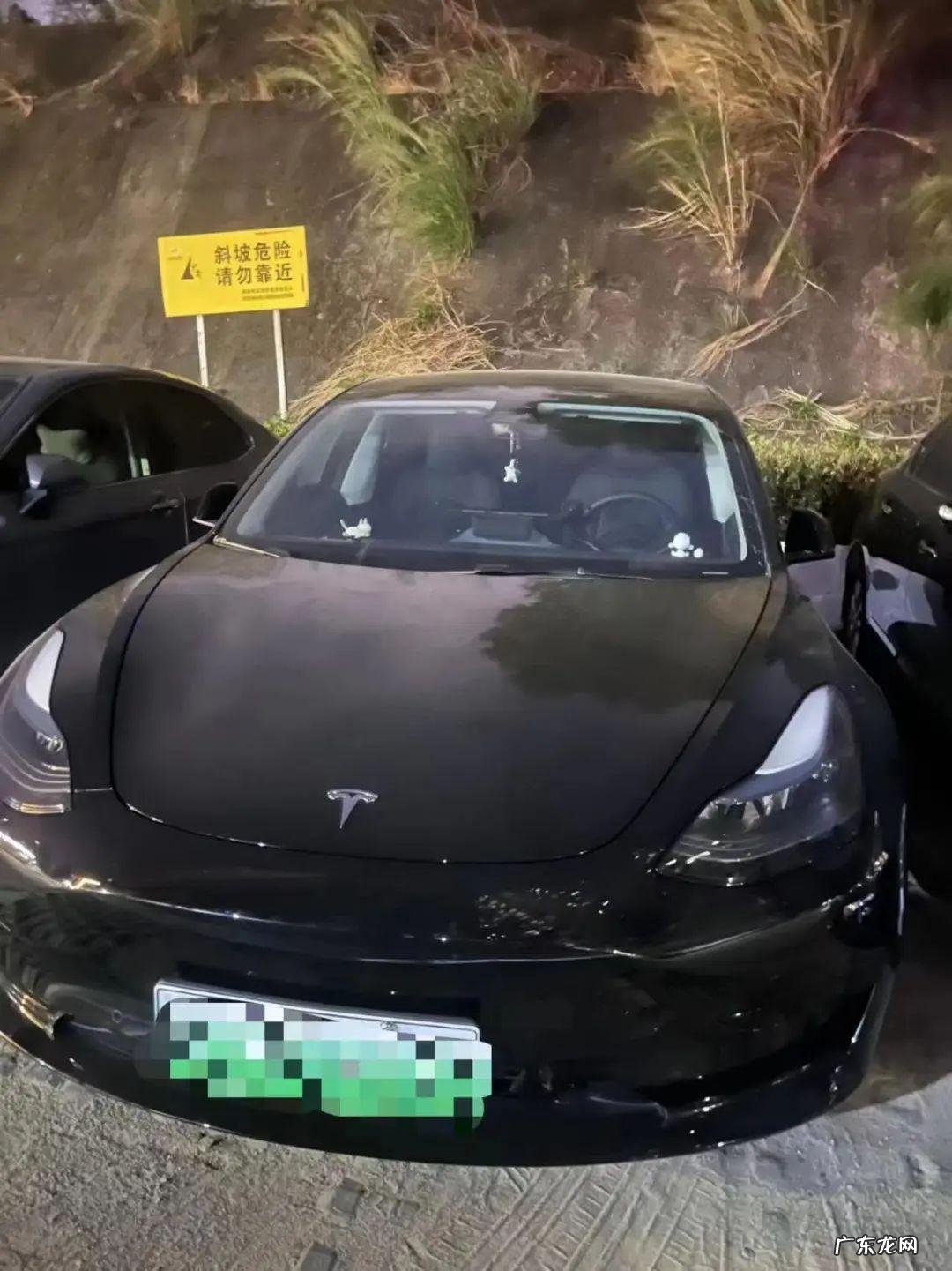 “特斯拉,大坏蛋”|车主派