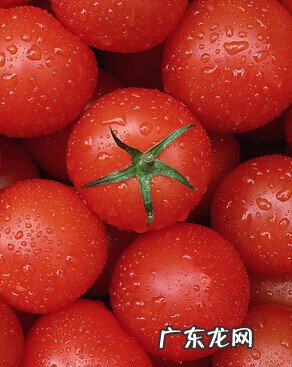 肾结石吃什么水果好?