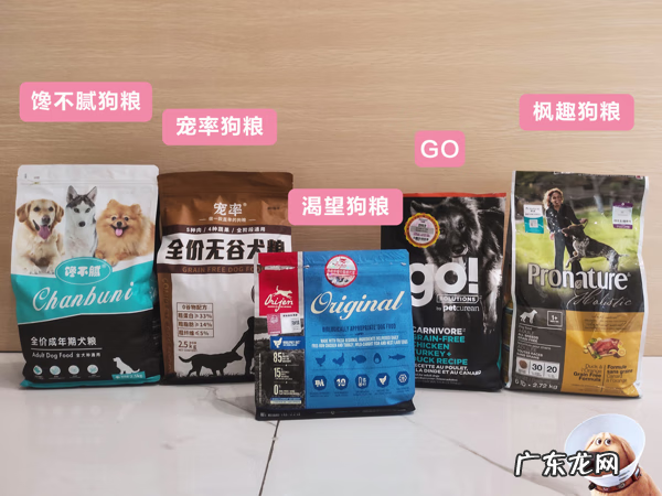 养狗会影响风水吗 狗对风水的影响大吗