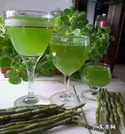 铁皮石斛花的功效与作用 铁皮石斛的功效是啥