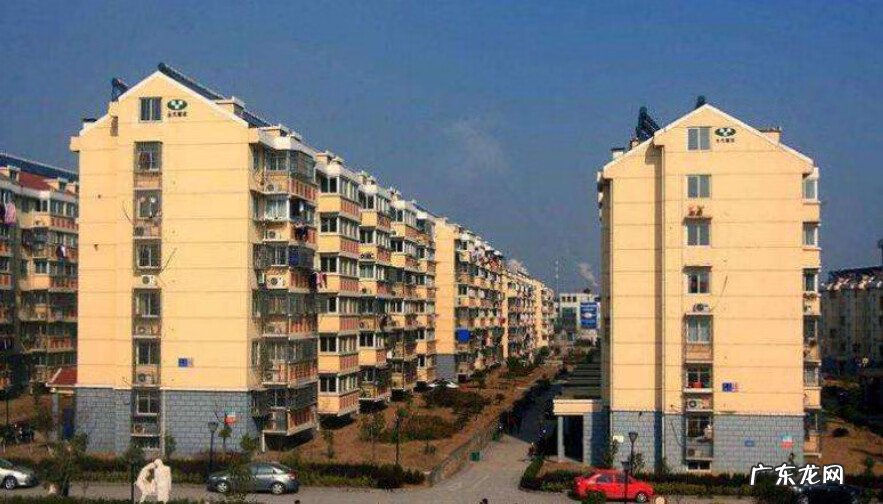 鸟巢风水分析 鸟窝搭建你家风水