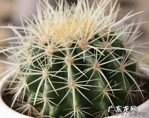 家里频繁坏东西的风水 影响家庭风水的哪些东西要丢掉