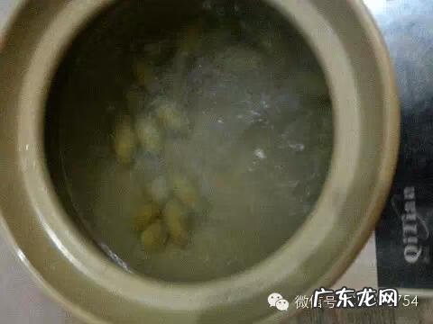 青果炖猪肚用新鲜青果还是干青果 青果炖猪肚的做法