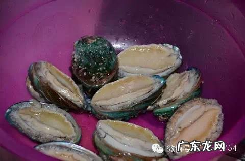 青果炖猪肚用新鲜青果还是干青果 青果炖猪肚的做法