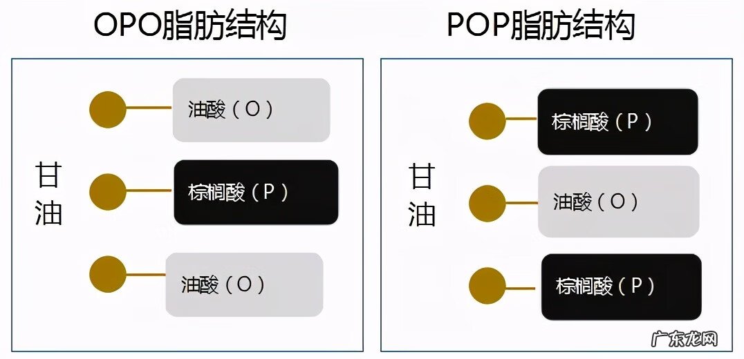 全球销量第一的奶粉 销量第一的奶粉叫什么