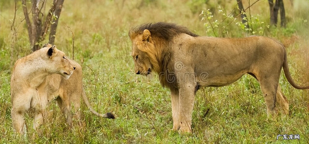 粗大猛烈进出高潮视频大全 性姿势视频