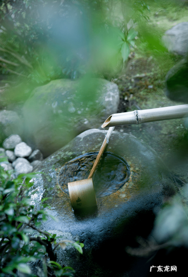 最有中式禅意的庭院 日式石灯放在院子什么位置