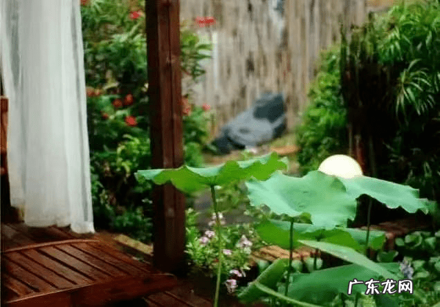 最有中式禅意的庭院 日式石灯放在院子什么位置