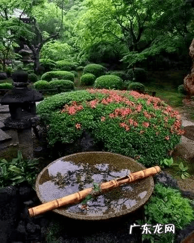 最有中式禅意的庭院 日式石灯放在院子什么位置