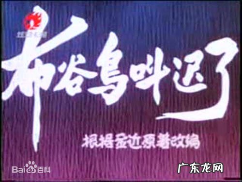 动画片大全集大全